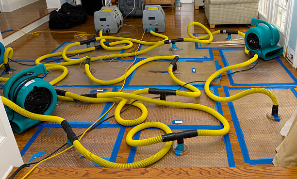 Professional Basement Flood Cleanup technician working in Winchester, TN